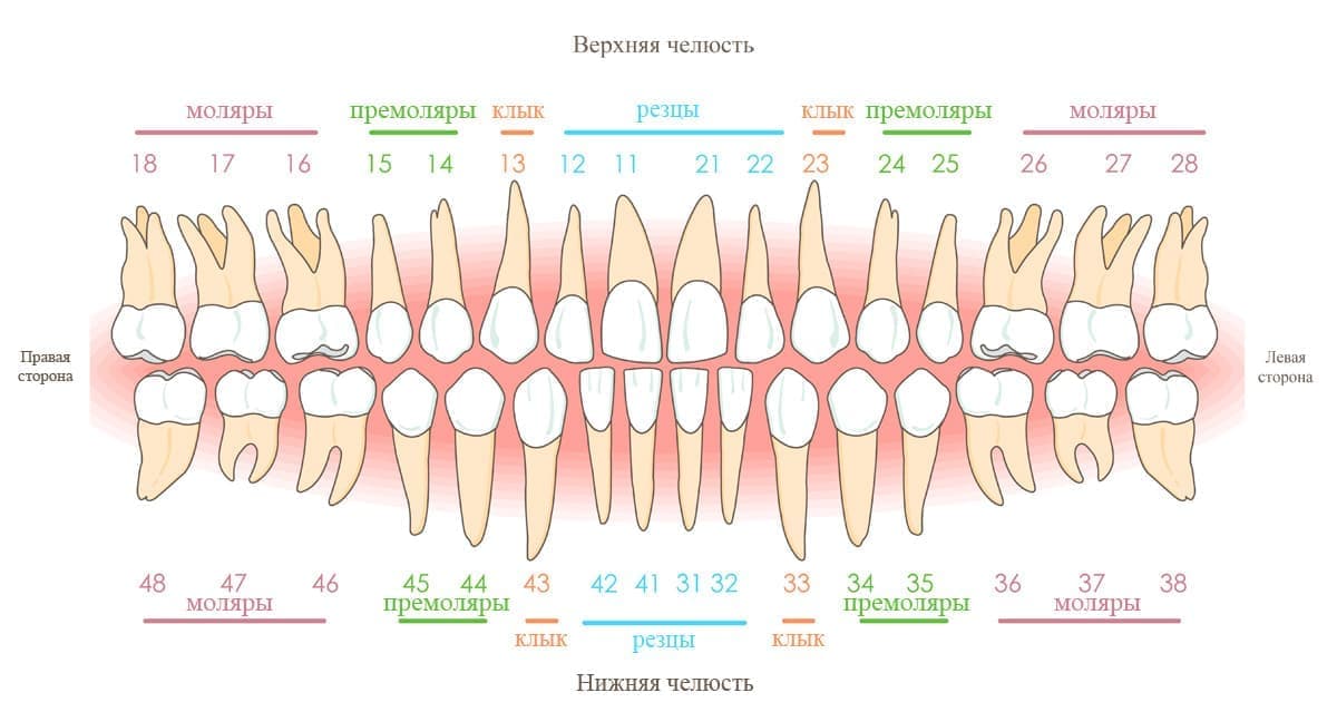 Цифрам при лечении зубов thumbnail