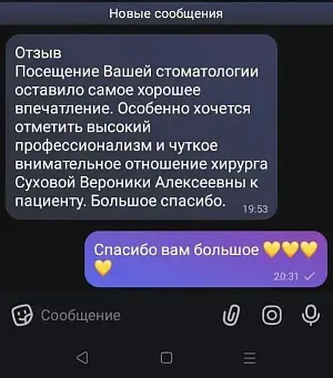 Борвиченко Елена Васильевна